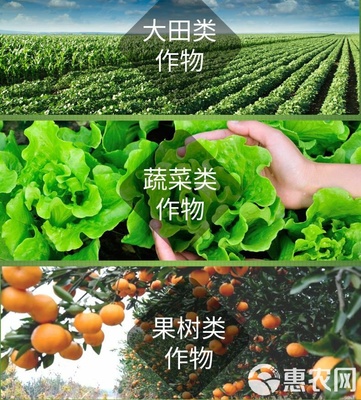 海藻肥“安豐樂-海藻素” 強力促生根壯苗、防病害與合成技術(shù)研發(fā)