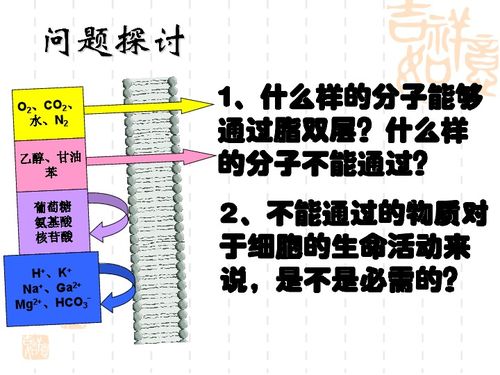 物質跨膜運輸方式與生物合成技術的現(xiàn)代研發(fā)進展